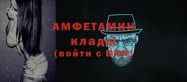 гашик Вязьма